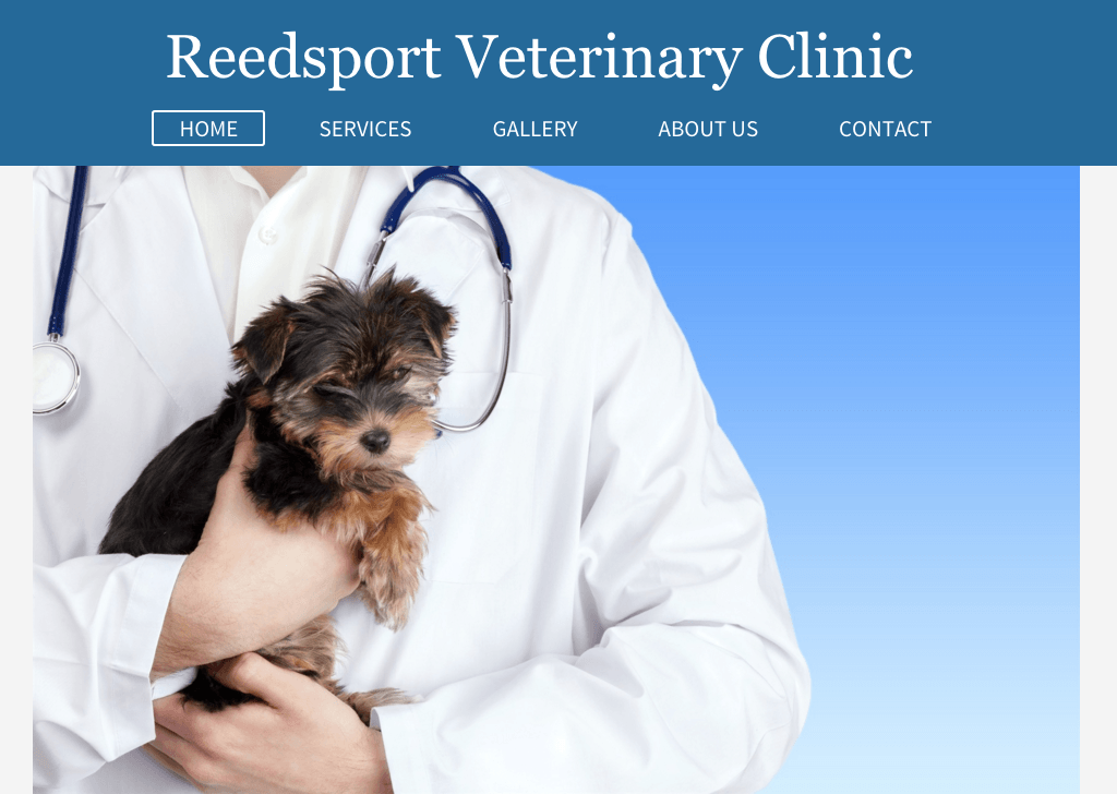Veterinary Clinic Demo 